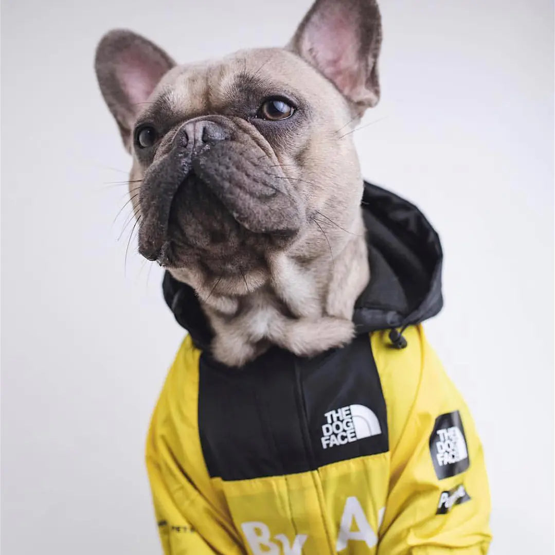 Regenjas TDF voor groot & klein