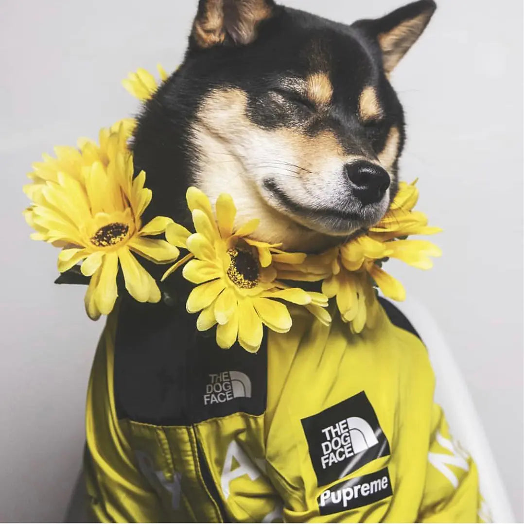 Regenjas TDF voor groot & klein