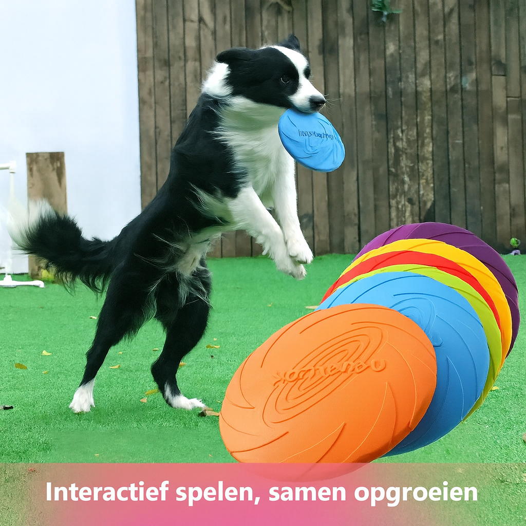 🟢Rubberen Frisbee – Apport! -  Voor energieke spelletjes in het park of de tuin