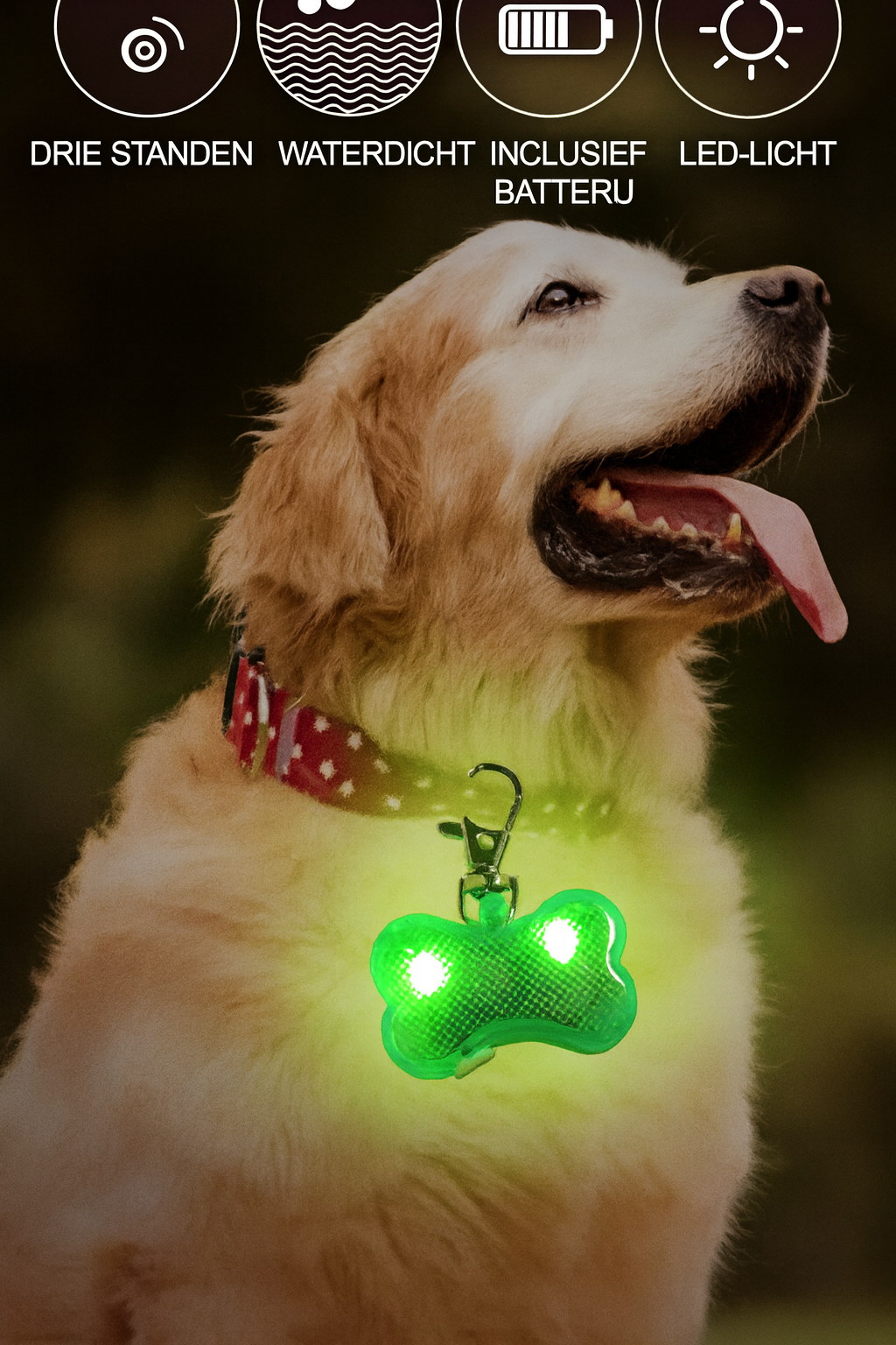 LED Veiligheidshangertje voor aan de Halsband – Compact & Oplaaiend in Stijl