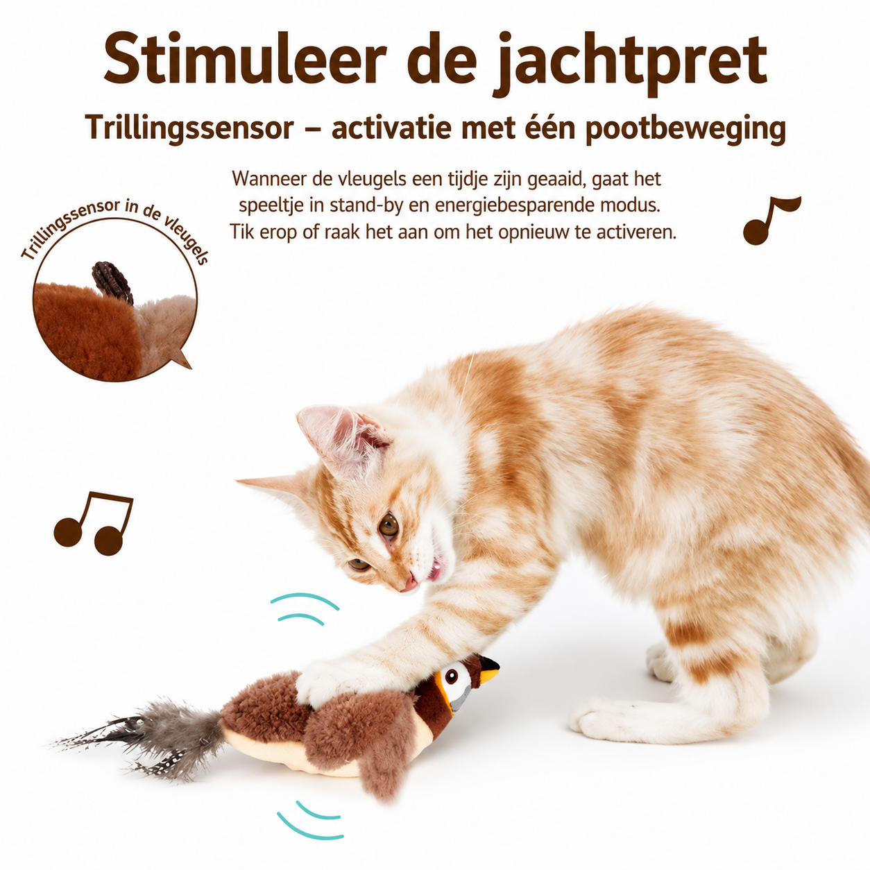 PawJoy FladderVogel – Interactief Kattenspeeltje