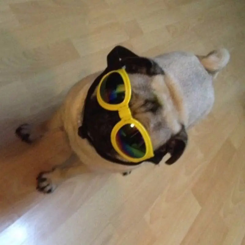 🕶️ Zomerse Hondenzonnebril – Stijlvol & UV-beschermend