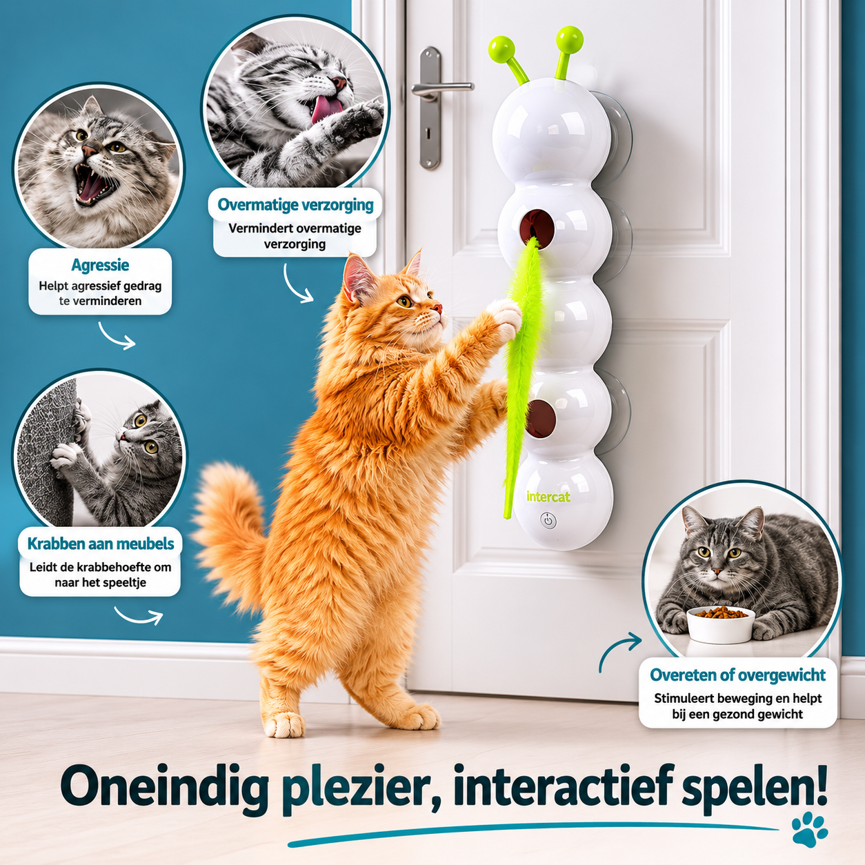 PawJoy WiebbelRups – Hangend Interactief Kattenspeeltje