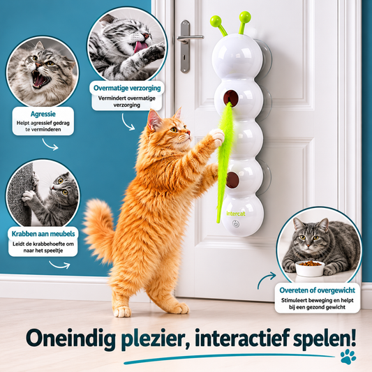 PawJoy WiebbelRups – Hangend Interactief Kattenspeeltje