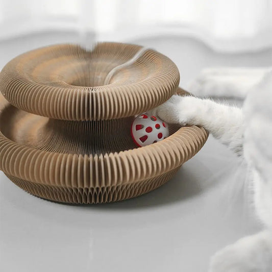 PawJoy KrabRoller – Interactieve Krab- & Speelbaan voor Katten