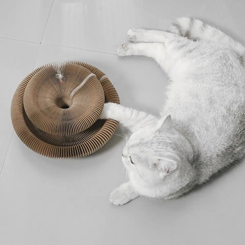 PawJoy KrabRoller – Interactieve Krab- & Speelbaan voor Katten