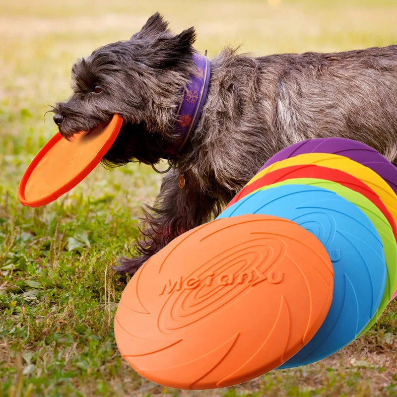🟢Rubberen Frisbee – Apport! -  Voor energieke spelletjes in het park of de tuin