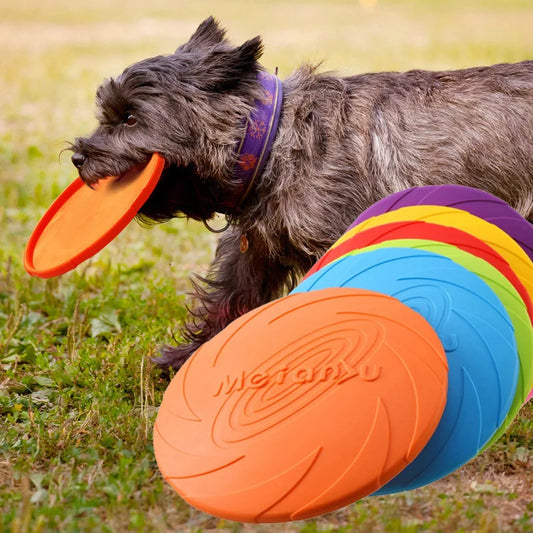 🟢Rubberen Frisbee – Apport! -  Voor energieke spelletjes in het park of de tuin