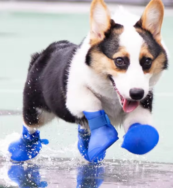 PawJoy PuddlePaws™
