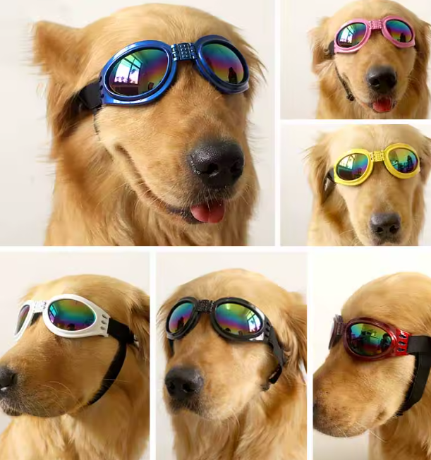 🕶️ Zomerse Hondenzonnebril – Stijlvol & UV-beschermend