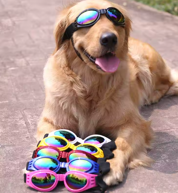 🕶️ Zomerse Hondenzonnebril – Stijlvol & UV-beschermend