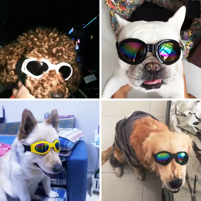 🕶️ Zomerse Hondenzonnebril – Stijlvol & UV-beschermend