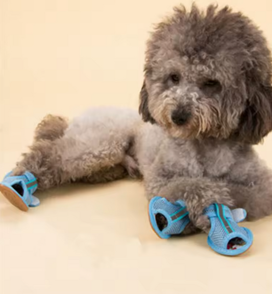 Breezy Paws Sandalen