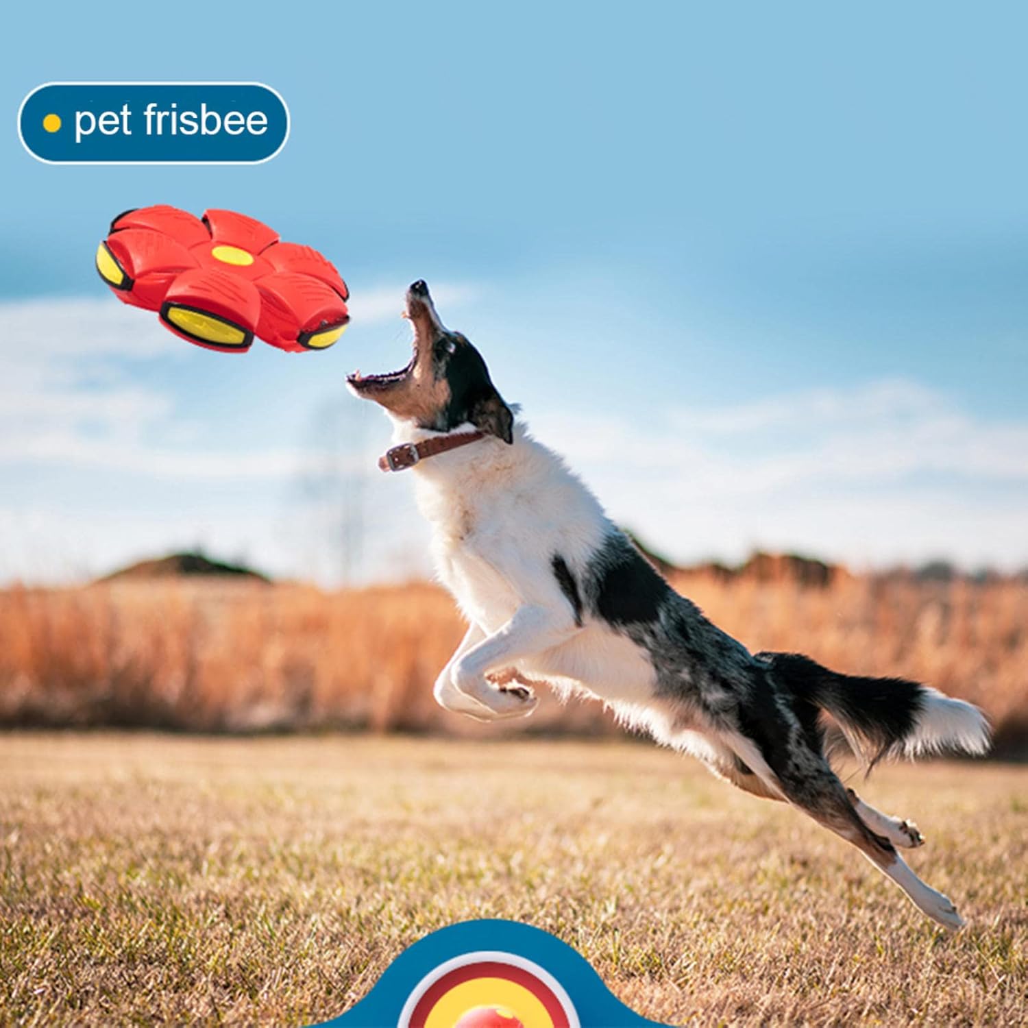 PawJoy UFO Lanceerbal voor Honden