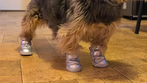 PawLuxe Winter Botjes