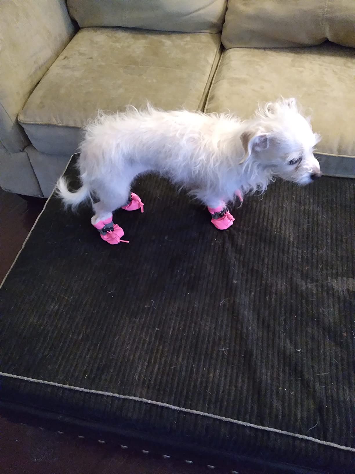 SnuggleSteps