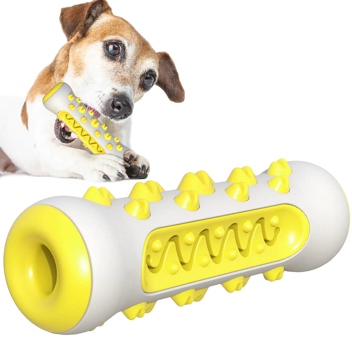 🟩 Kauw- & Snoepjesbal -  Combineert kauwen met een lekkere beloning